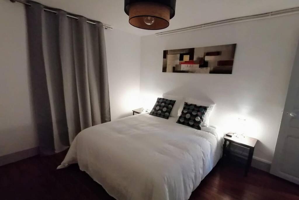 Le Laventin - 52M2 - Boulevard De La Grotte - Hyper Centre Lourdes Exteriör bild